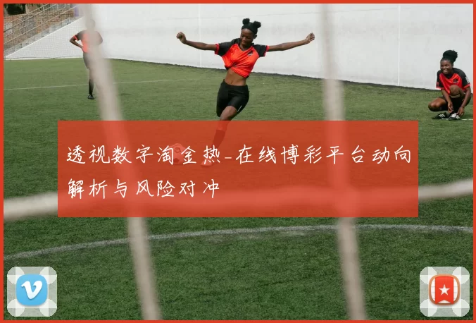 透视数字淘金热_在线博彩平台动向解析与风险对冲