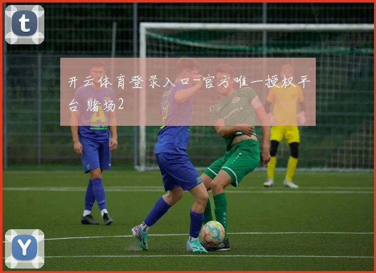 开云体育登录入口-官方唯一授权平台 赌场2