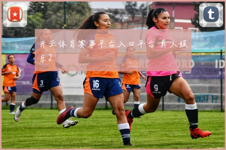 开云体育赛事平台入口平台 真人娱乐2