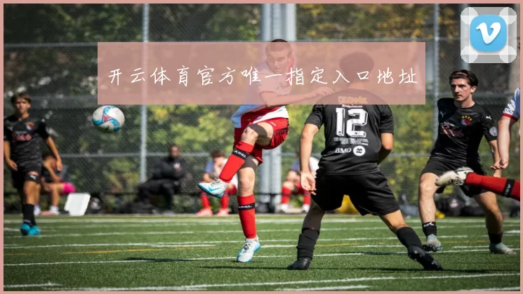 开云体育官方唯一指定入口地址