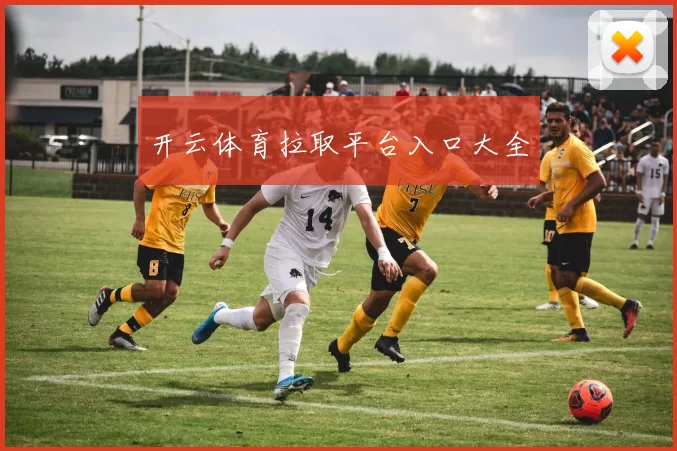 开云体育拉取平台入口大全