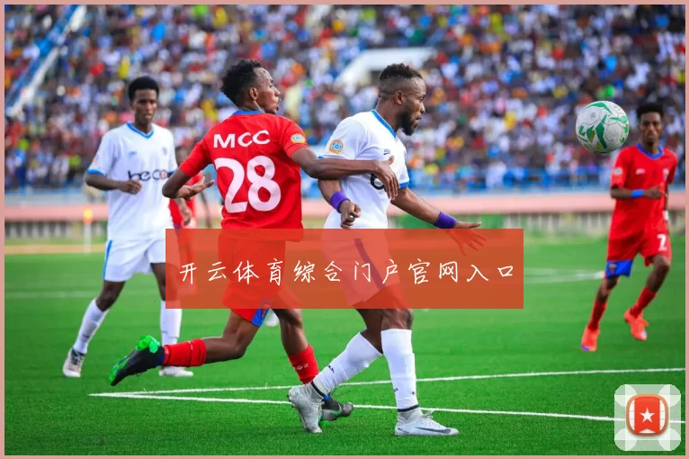 开云体育综合门户官网入口