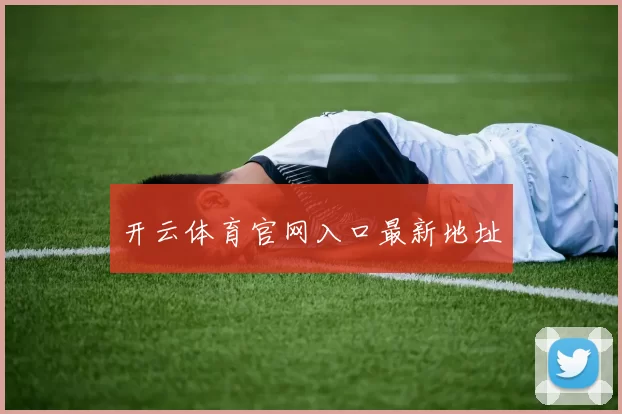 开云体育官网入口最新地址
