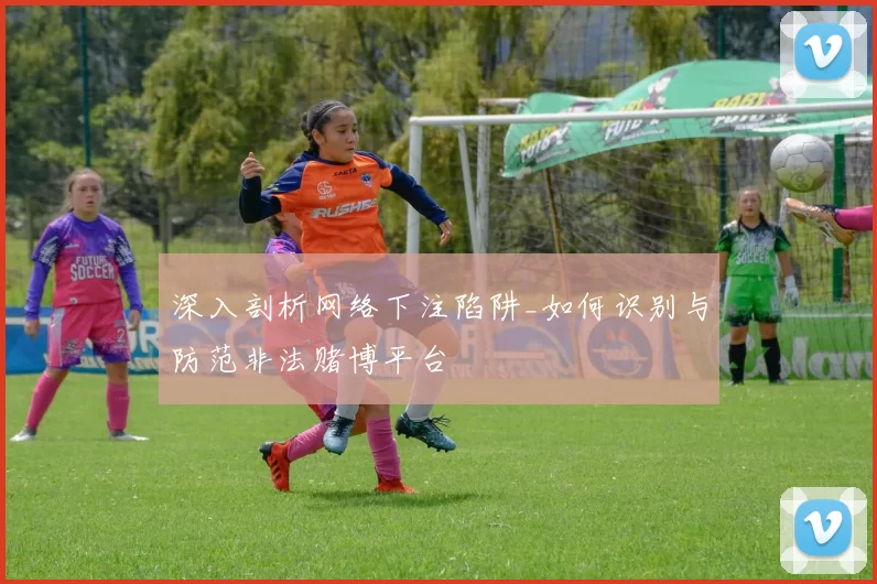 深入剖析网络下注陷阱_如何识别与防范非法赌博平台