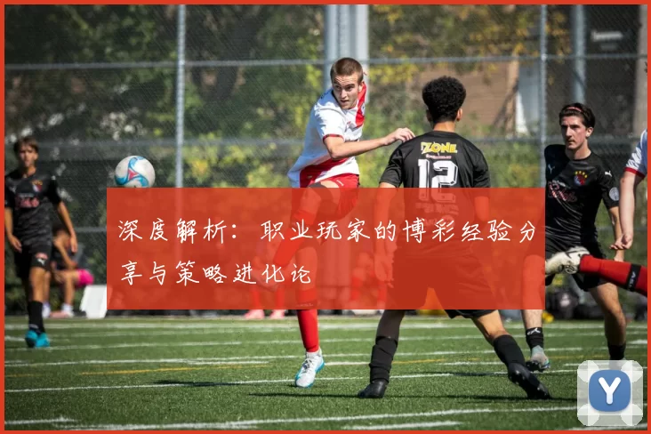 深度解析：职业玩家的博彩经验分享与策略进化论