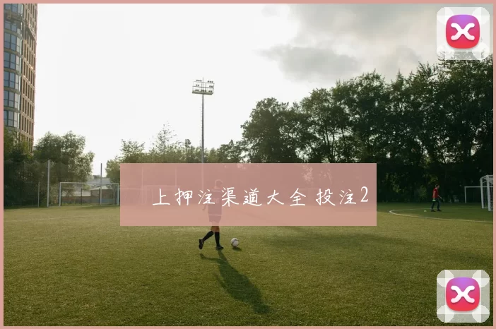 網上押注渠道大全 投注2