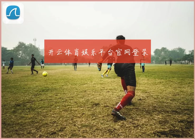 开云体育娱乐平台官网登录