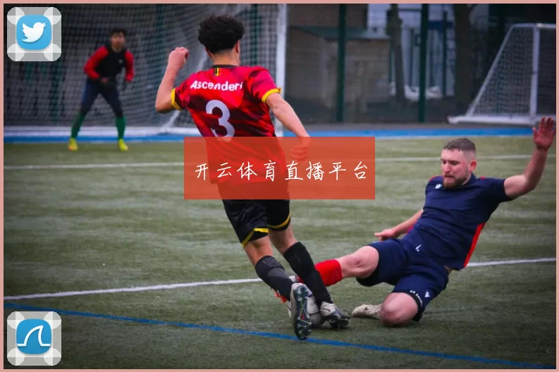 开云体育直播平台