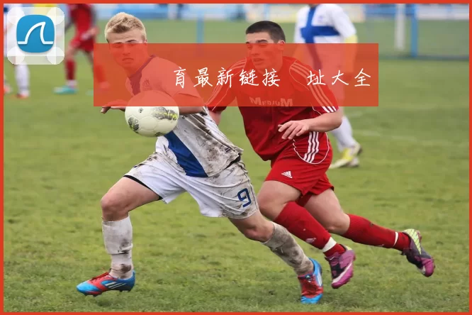 開雲體育最新链接網址大全