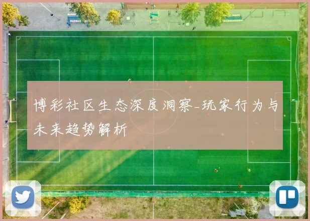 博彩社区生态深度洞察_玩家行为与未来趋势解析