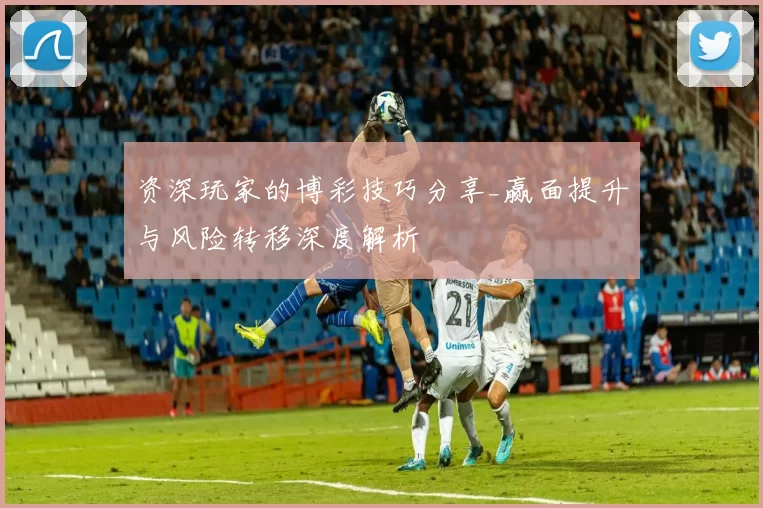 资深玩家的博彩技巧分享_赢面提升与风险转移深度解析