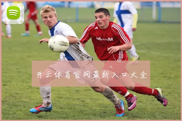 开云体育官网最新入口大全