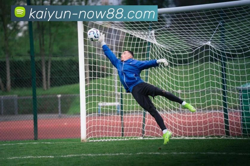 kaiyun平台生态图