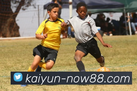 App Interface Preview